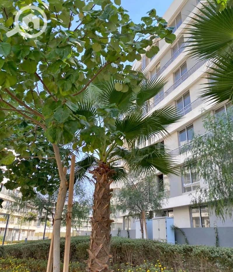 IMG_9796. jpeg IMG_9796. jpeg