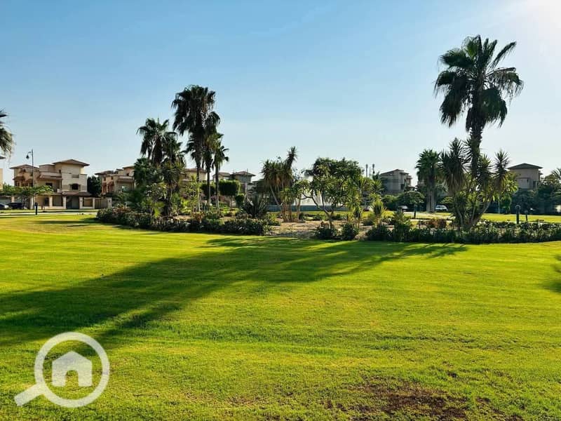 6 97aa5d09-ac39-44ab-afe4-23085a55494d. jpg