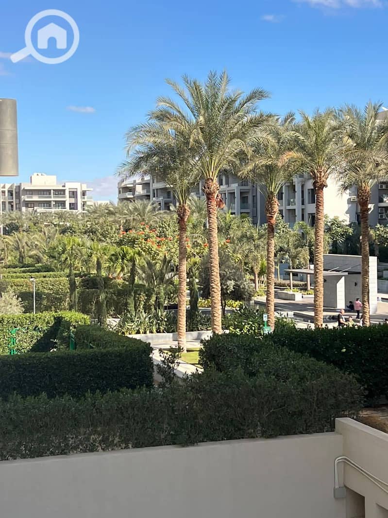 35 617566356_1423949472725986_5356443573869701786_n. jpg