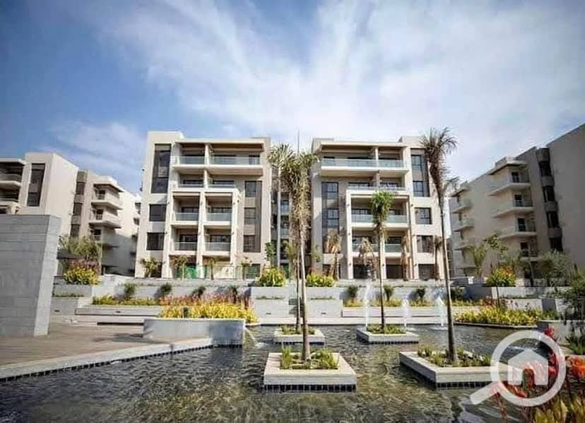 37 619744382_2938639516329988_8036579313224481548_n. jpg