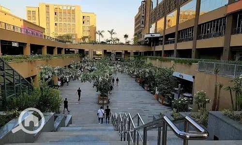 6 WhatsApp Image 2025-08-10 at 14.25. 31_5f7e602d. jpg