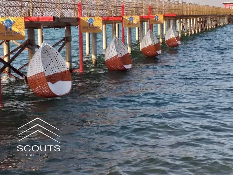 6 499926031_23941371075481048_1409710340493584335_n. jpg