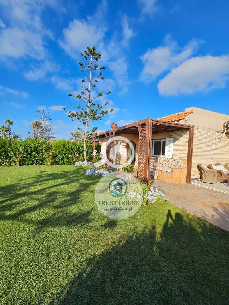 21 WhatsApp Image 2026-01-20 at 14.23. 53. jpeg