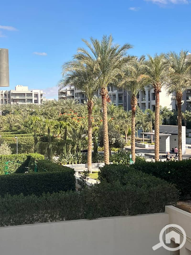 30 615887146_122290557992073603_3675863776499800287_n. jpg