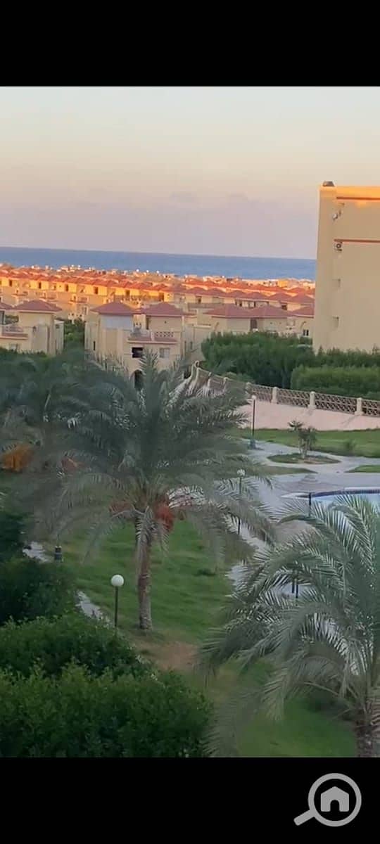 10 WhatsApp Image 2025-10-08 at 6.14. 36 AM (2). jpeg