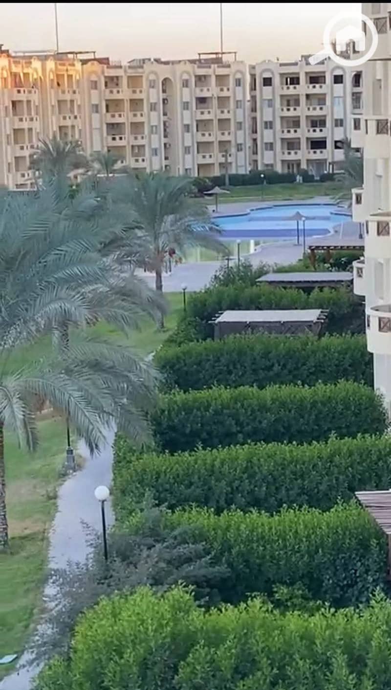 12 WhatsApp Image 2025-10-08 at 6.14. 36 AM. jpeg