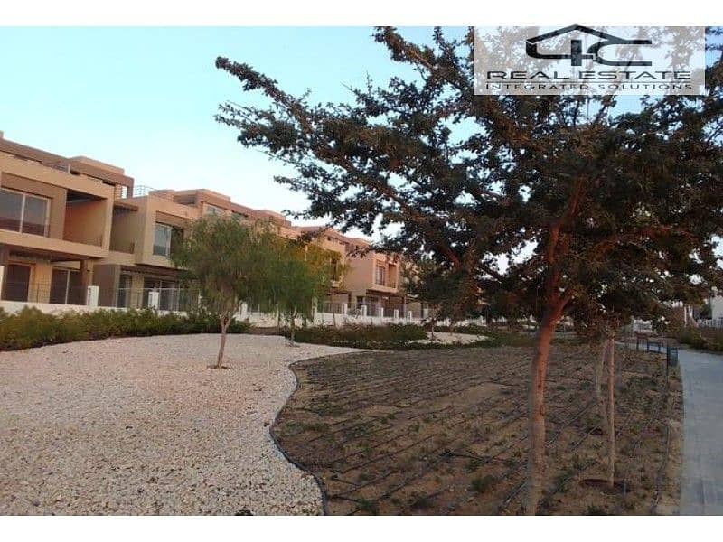 10 3816628-e0a5do. jpg