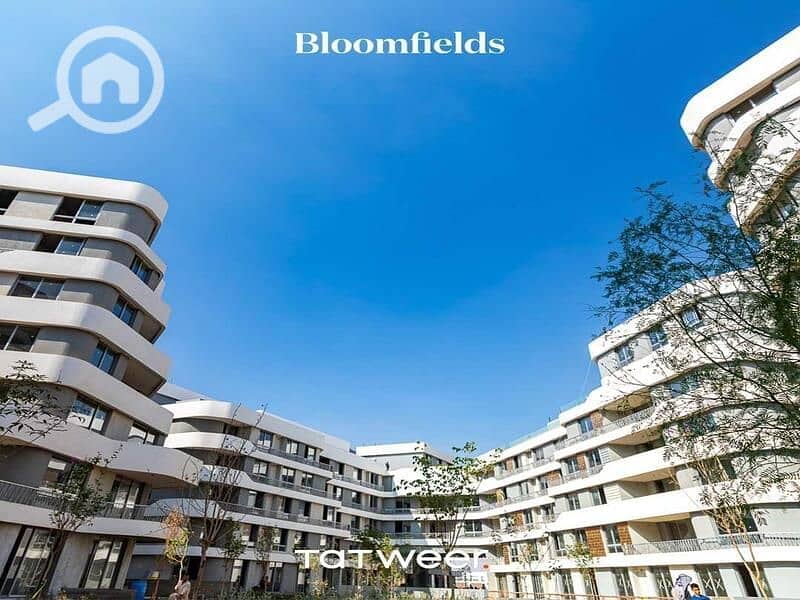 8 IMG-20250504-WA0194. jpg