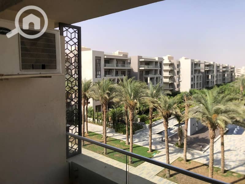 14 599949169_886117391034542_8405738798506228004_n. jpg