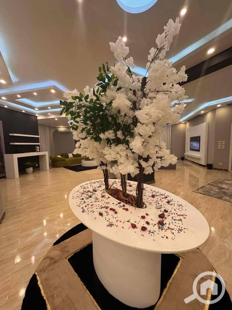 9 984466a8-eb7b-4247-856e-205edf1e3cf8. jpg