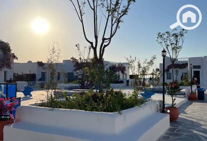 4 7f61c5d8-8b23-47b9-976c-10d02550606f. jpg