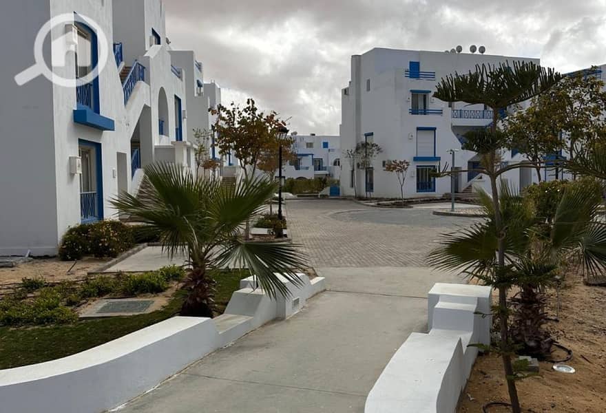 10 25ad54a2-591e-44c8-85c7-ea5edc7ddc85. jpg