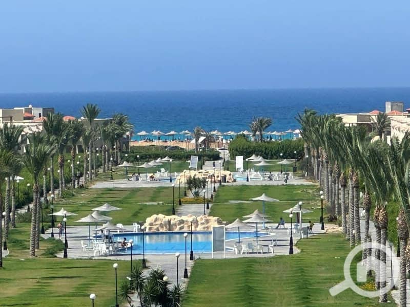 11 558093722_122332991498007152_2611332348776658833_n. jpg