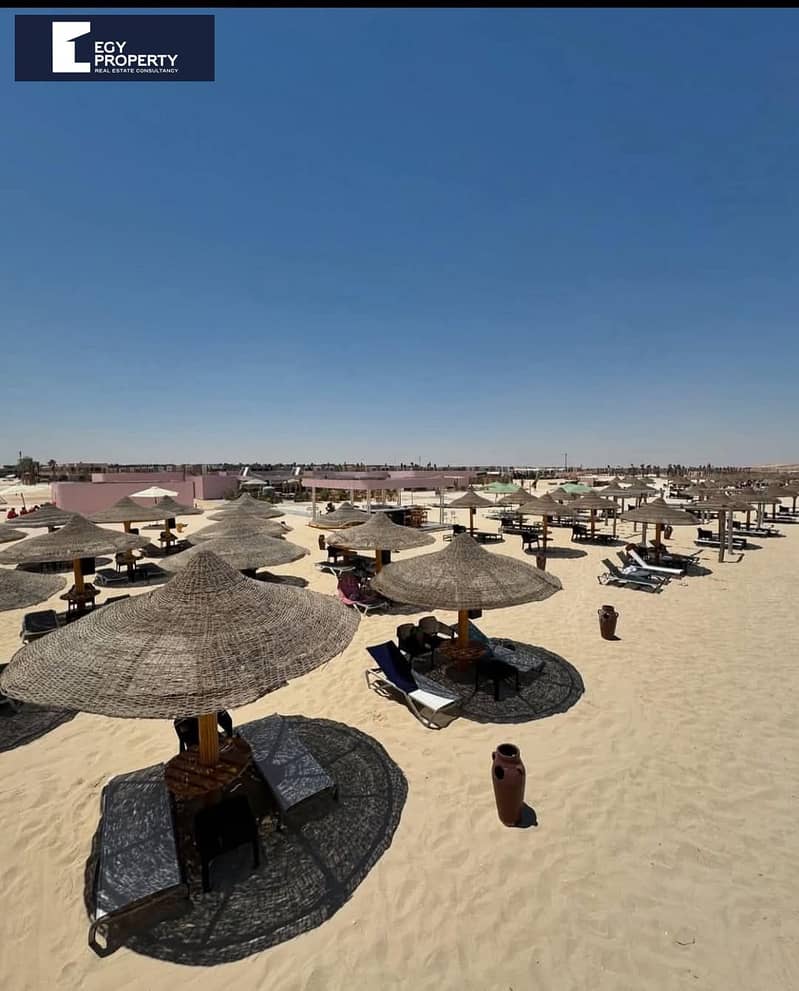 4 WhatsApp Image 2025-03-25 at 1.18. 49 PM (3). jpeg