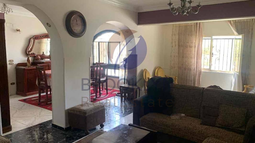 16 915bae95-725a-4474-bb3b-0497b9fe0812. jpg