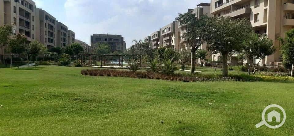 IMG_0838. jpeg IMG_0838. jpeg