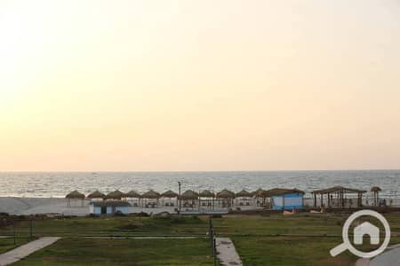 1 Bedroom Room for Sale in North Coast, Matruh - WhatsApp Image 2026-01-20 at 14.24. 21 (1). jpeg