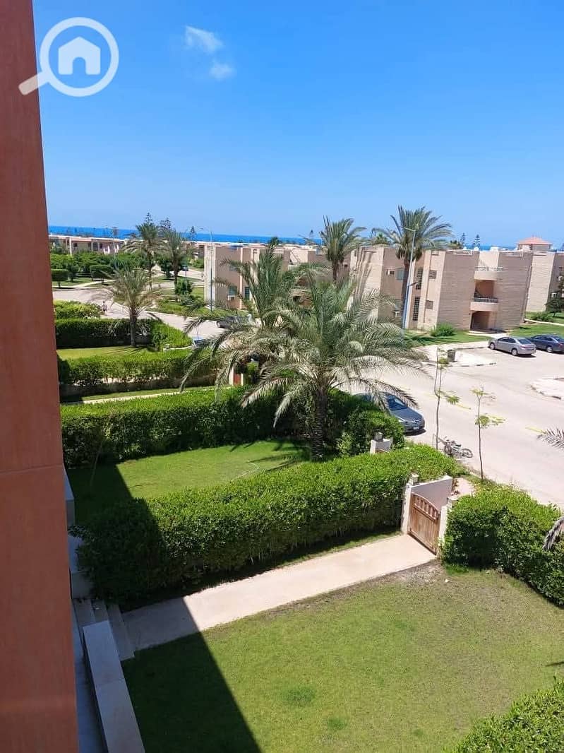 2 WhatsApp Image 2026-01-20 at 14.24. 17. jpeg