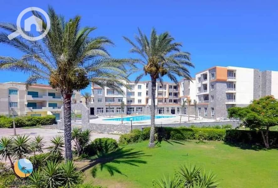 13 WhatsApp Image 2026-01-20 at 14.24. 20. jpeg