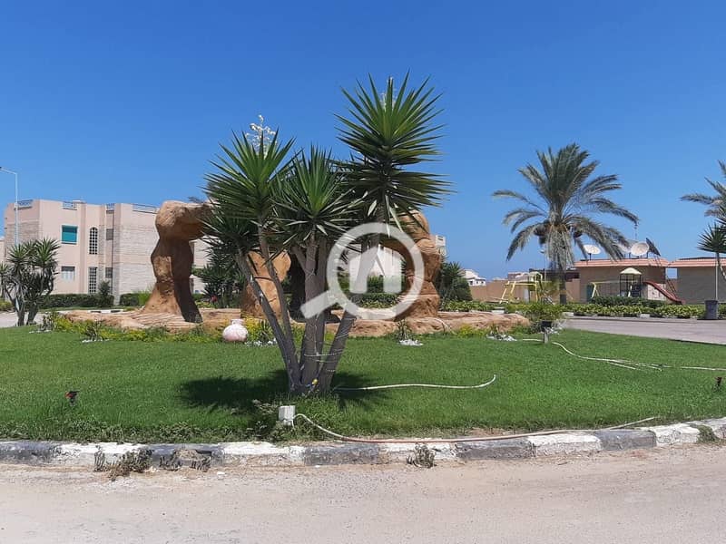 14 WhatsApp Image 2026-01-20 at 14.24. 21. jpeg