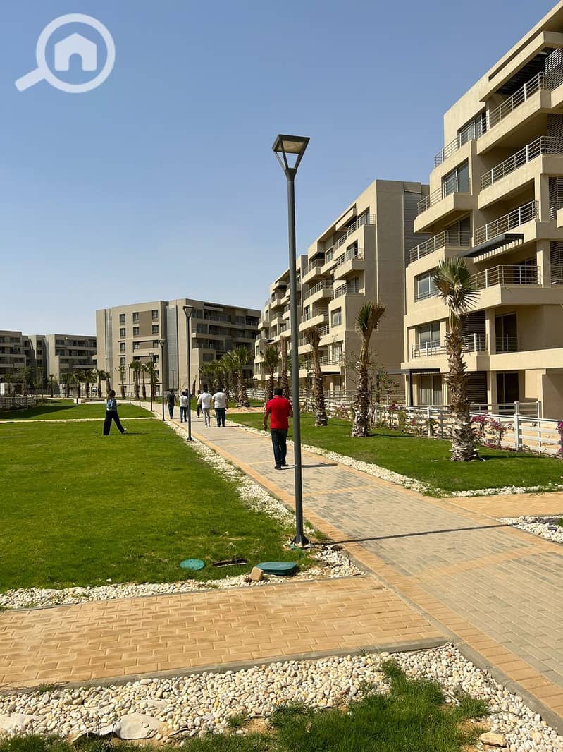 3 af3becf8-157f-4599-98b7-18082b06c3fd. jpeg