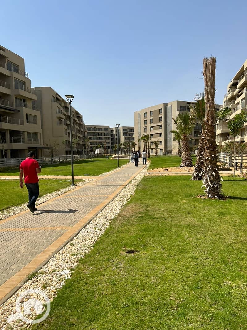 4 271a4d5f-4ee3-4d96-b2b2-ea18f782e6e1. jpeg