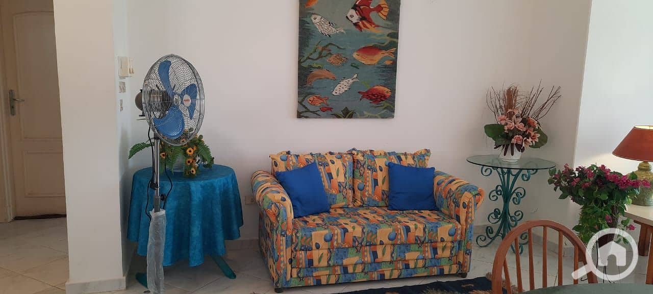 3 WhatsApp Image 2026-01-20 at 14.24. 43. jpeg