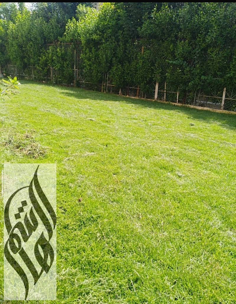 3 WhatsApp Image 2026-01-21 at 11.45. 00 AM. jpeg