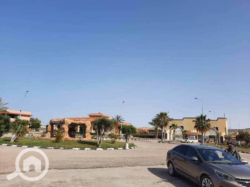 27 WhatsApp Image 2026-01-20 at 14.25. 48 (2). jpeg