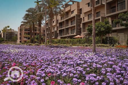 3 Bedroom Apartment for Sale in New Cairo, Cairo - 5d90794c-63a0-4aa2-8d3f-307acbc04caa. jpeg 3 Bedroom Apartment for Sale in New Cairo, Cairo - 5d90794c-63a0-4aa2-8d3f-307acbc04caa. jpeg