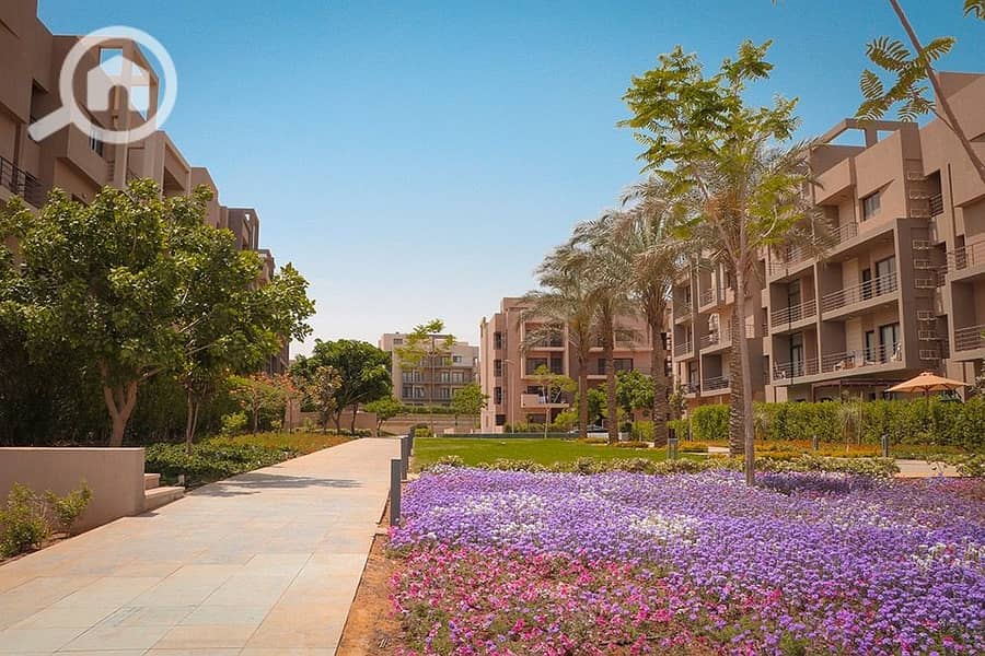 5 216450c2-5c3a-4a0f-a779-8c812702de87. jpeg