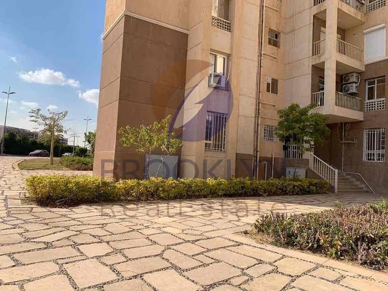 4 8975da60-2ea6-4cb6-ab81-ee342576cc8a. jpg