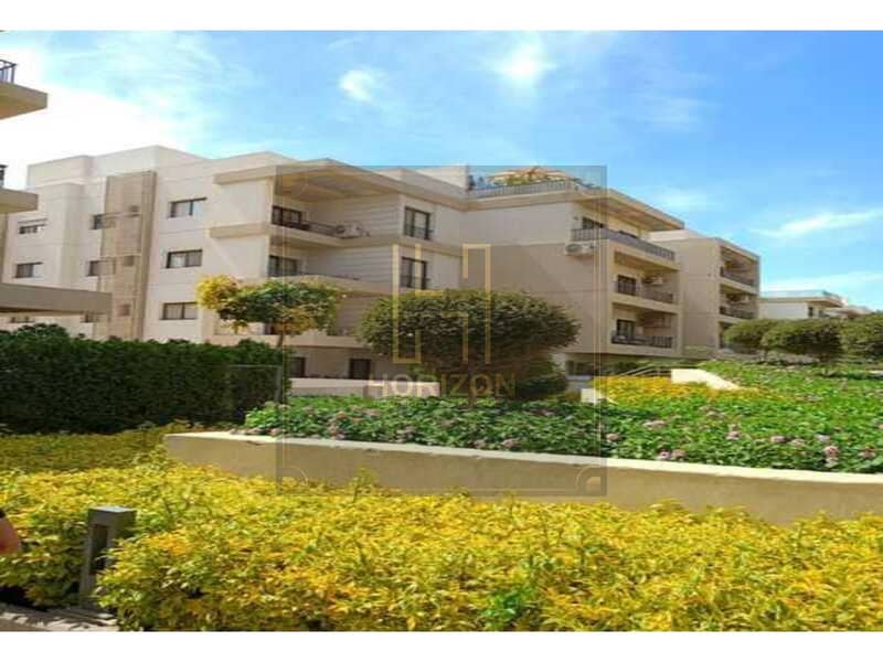 7 8486900-566c0o. jpg