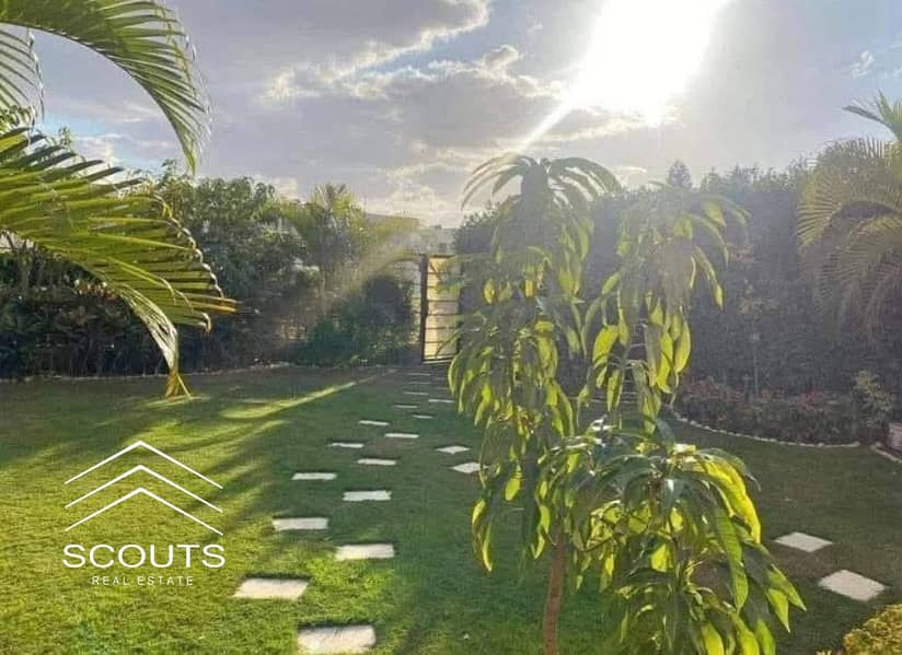 9 FB_IMG_1764236786604. jpg