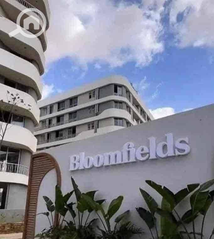 7 f4b37a03-827e-4ae0-a963-ac1a4b62f4ca. jpg