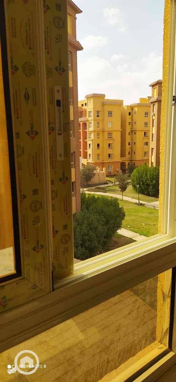 4 f324d099-3f99-4f0d-bb52-31b0f919bdc5. jpg