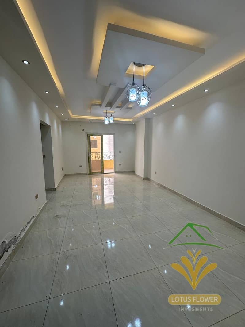 1000668202. jpg 1000668202. jpg