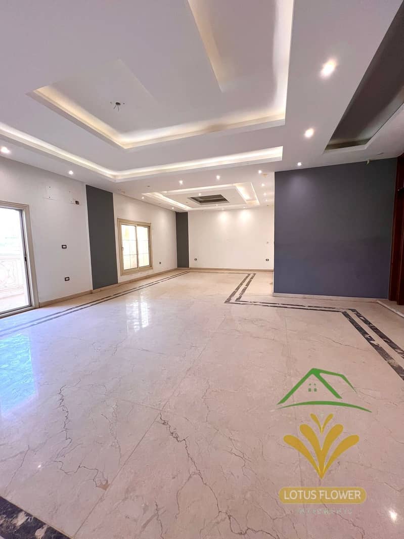 1000639311. jpg 1000639311. jpg