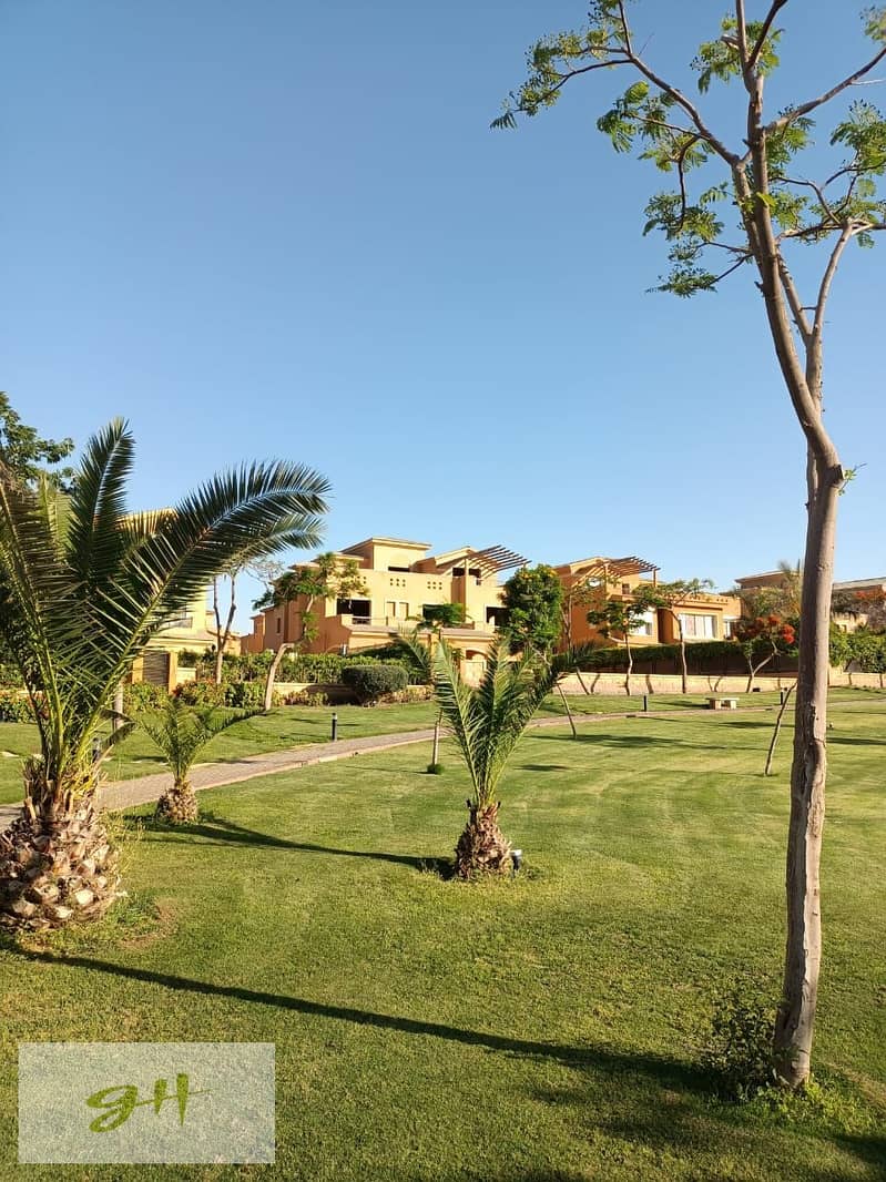 6 77d62964-9c97-4287-9b57-104295bda861. jpg