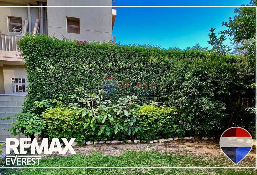 3 original - 2026-01-22T212937.412. jpg