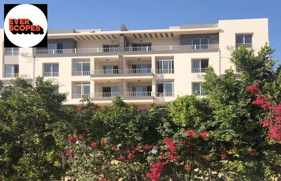 4 0bc5a5d4-d022-4607-b9a5-347a1f24aa1a. jpg