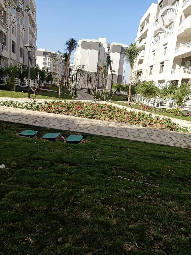 8 78e578fb-8df8-471d-9350-cb8ed41b5337. jpg