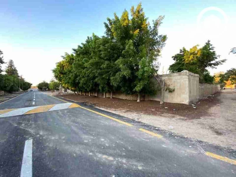 16 FB_IMG_1763490085282. jpg