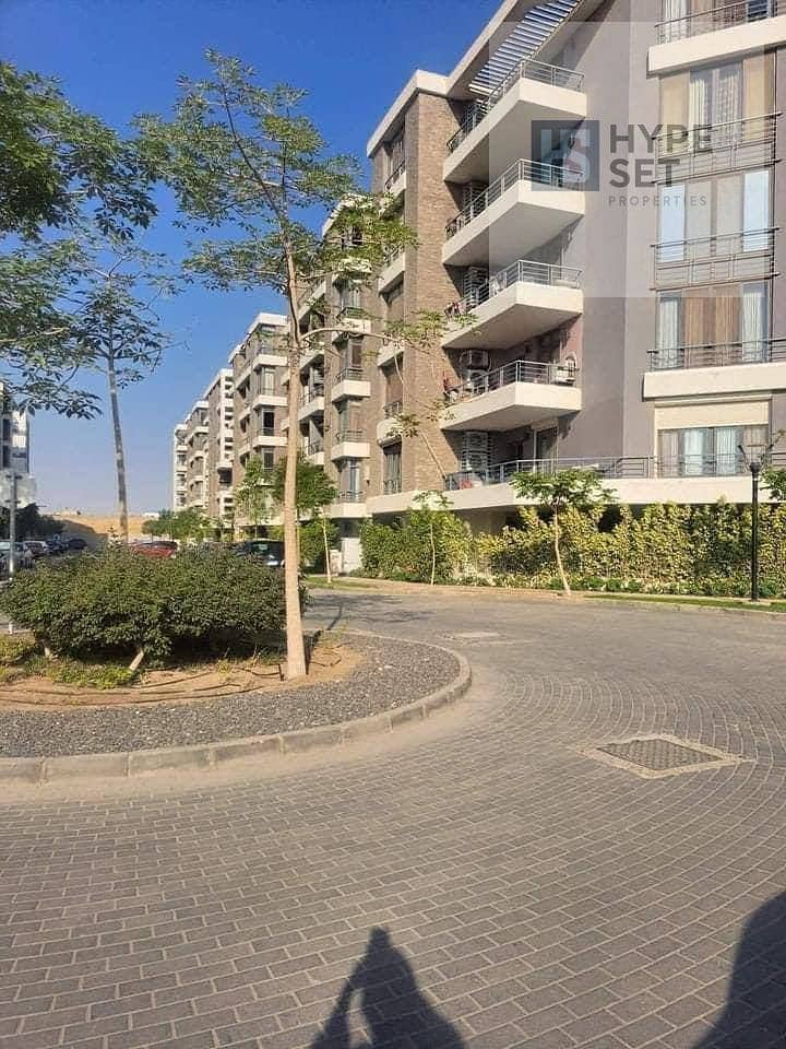 9 5960645554755191242. jpg