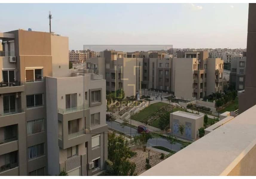 5 8450466-aa9c5o. jpg