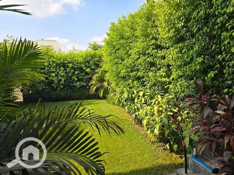 6 FB_IMG_1769106047620. jpg