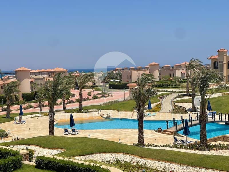 8 1775e88d-d517-49ae-a96e-9cc277897708. jpg