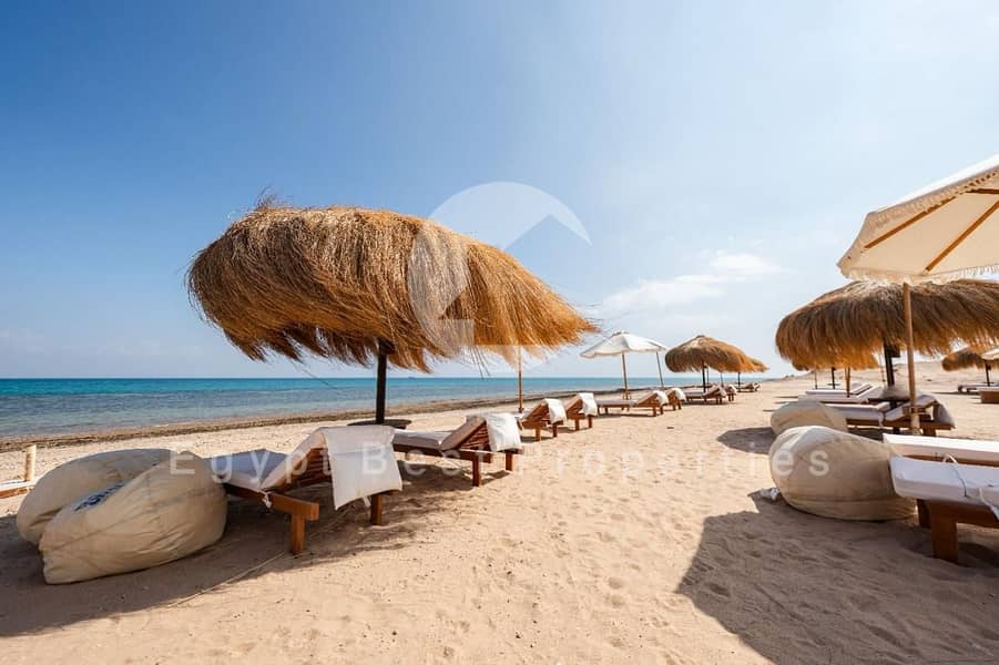 8 49293f50-b47c-42a4-9b2c-8325f7724c11. jpg