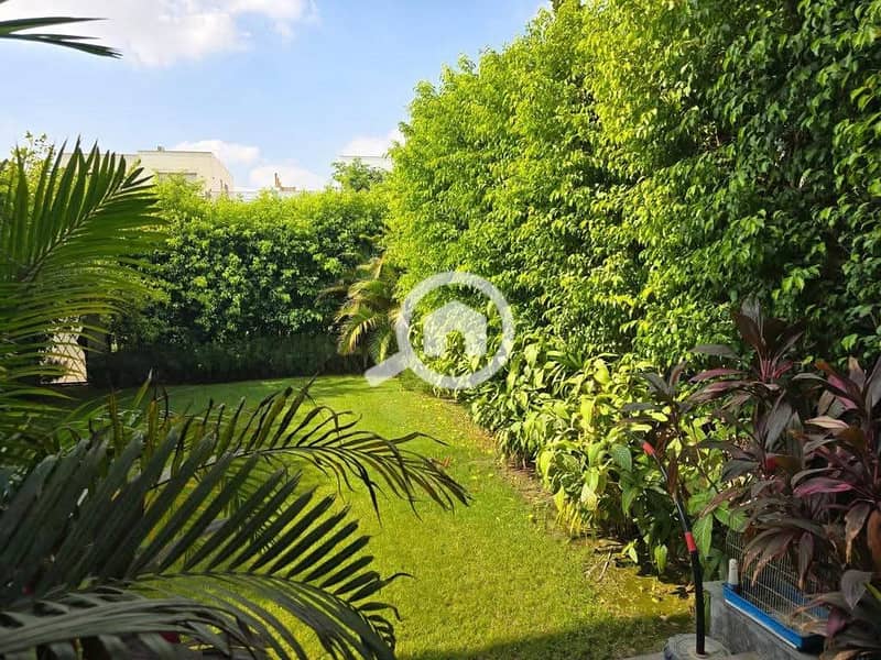 3 FB_IMG_1769106047620. jpg