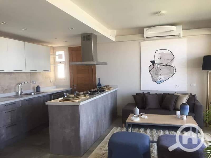 7 66088763_396049221033322_2264815295463948288_n. jpg